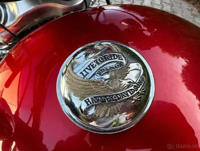 Harley Davidson XL 1200C – náhľad 5