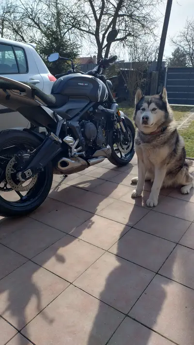 Triumph Trident 660 RR 2022 – náhľad 4