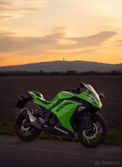Kawasaki Ninja 300 – náhľad 1