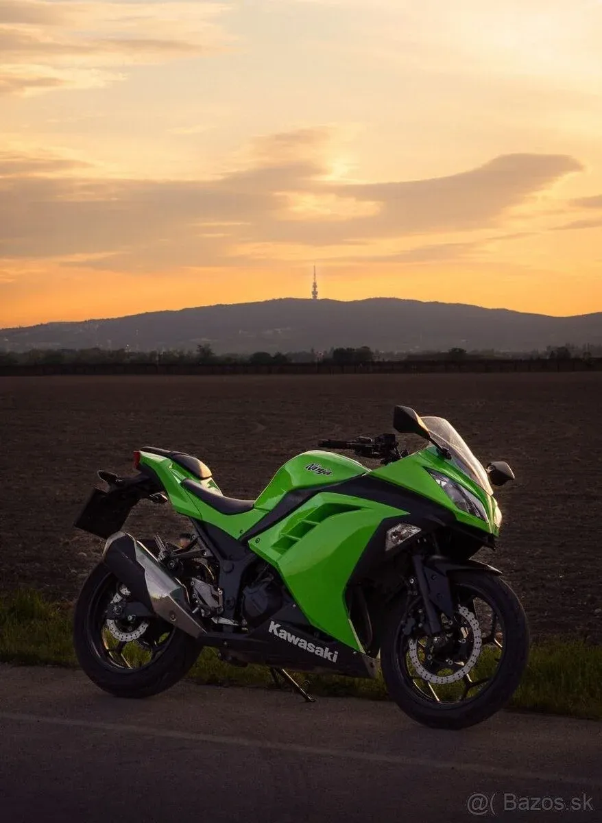 Kawasaki Ninja 300 - foto 1