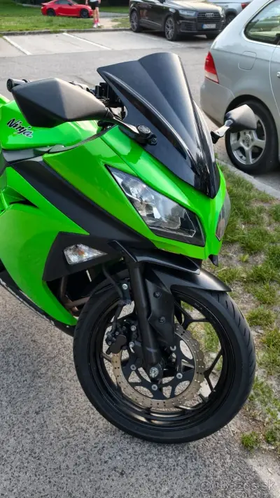 Kawasaki Ninja 300 – náhľad 2