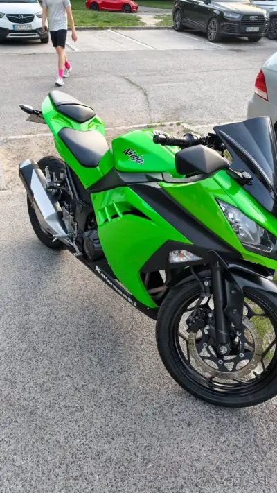 Kawasaki Ninja 300 – náhľad 3