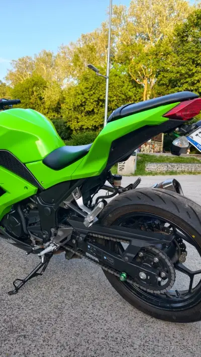 Kawasaki Ninja 300 – náhľad 4