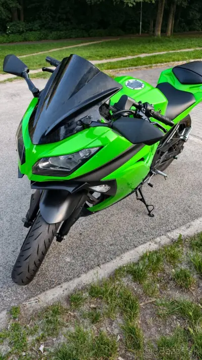 Kawasaki Ninja 300 – náhľad 6
