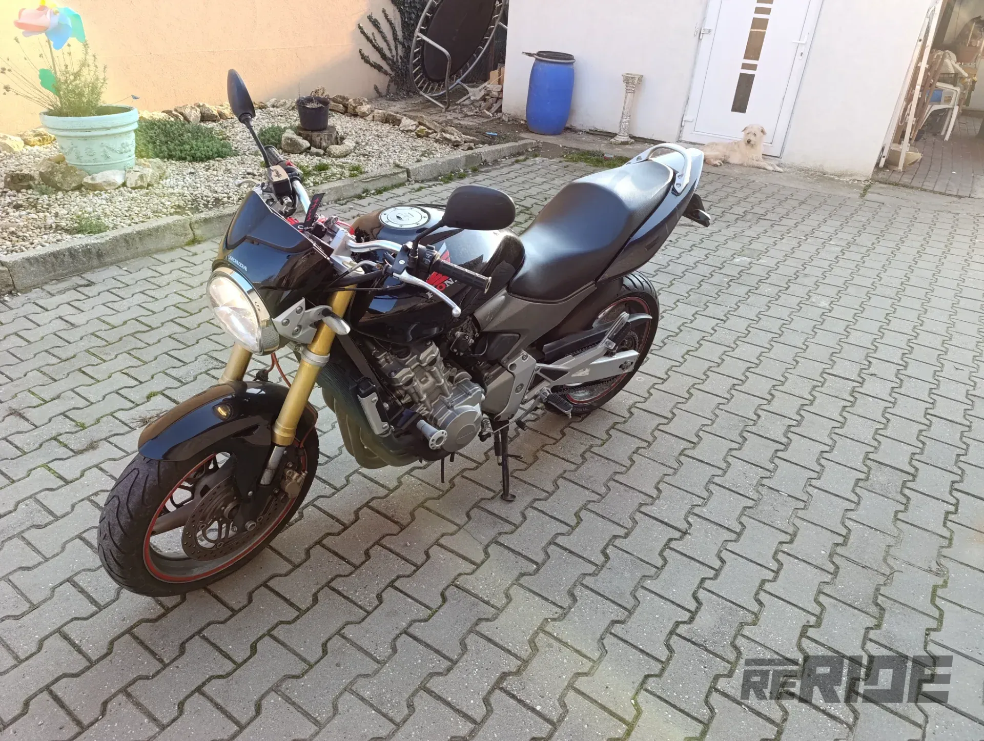 Honda hornet cb600n - foto 1
