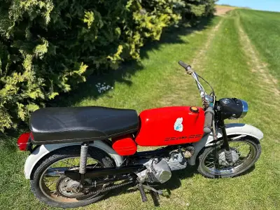 Jawa mustang – náhľad 2
