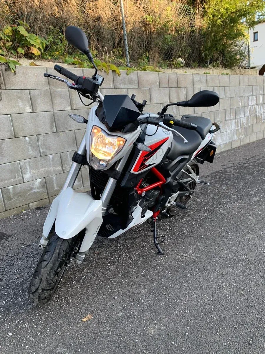 Benelli BN 251 - foto 1