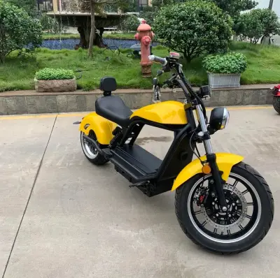 E-chopper – náhľad 2