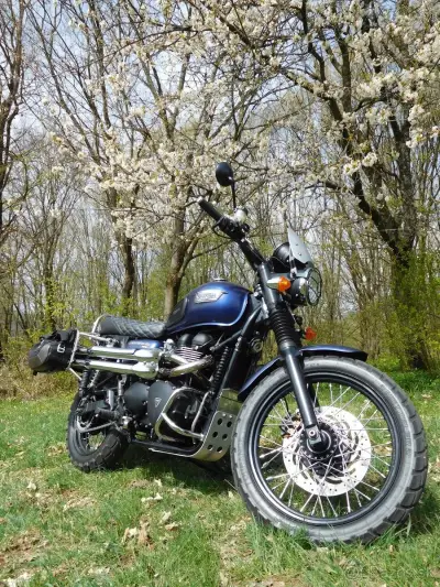 TRIUMPH SCRAMBLER 900 EFI – náhľad 1