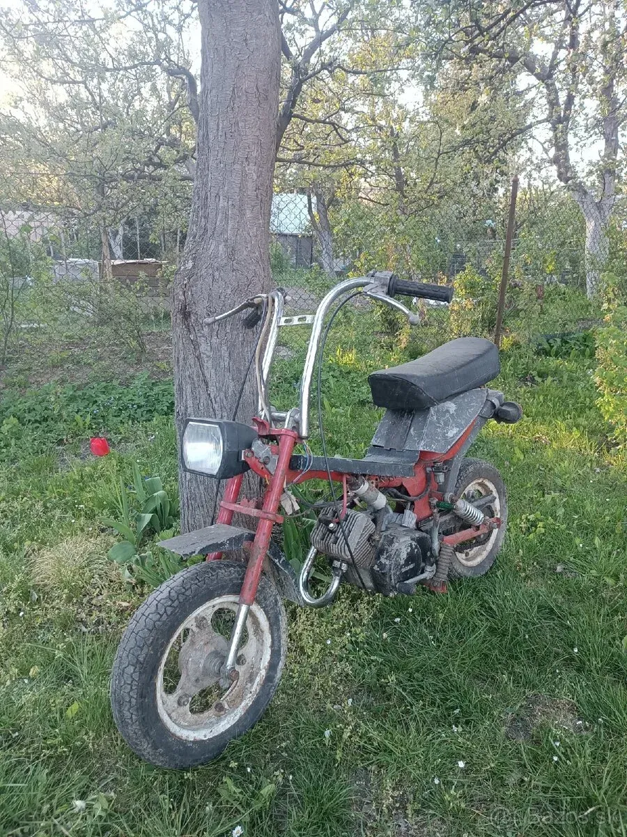 Predám menej vídany typ babetty Stella 756 - foto 1