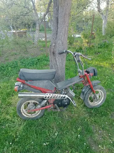 Predám menej vídany typ babetty Stella 756 – náhľad 2