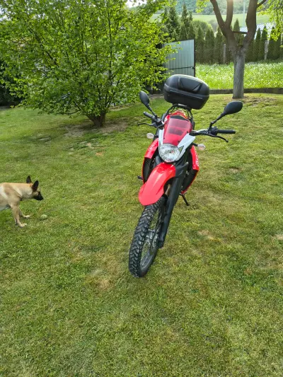 Yamaha XT 660r – náhľad 7
