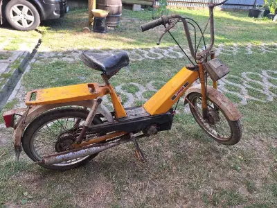 Babeta 207