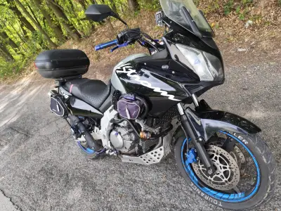 Suzuki v strom – náhľad 2
