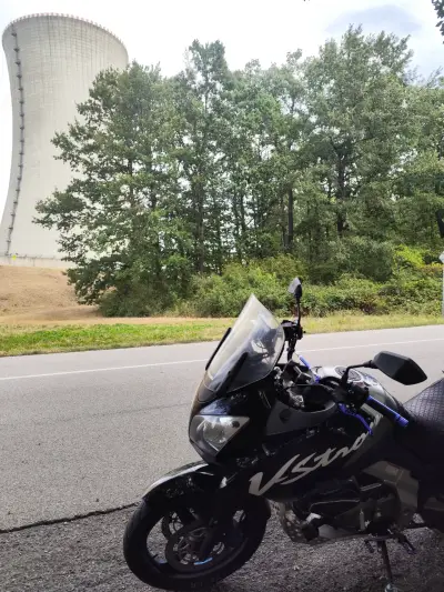 Suzuki v strom – náhľad 3