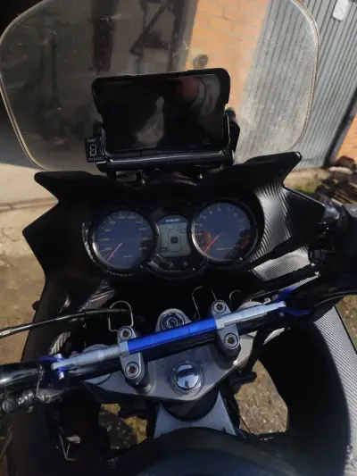 Suzuki v strom – náhľad 5