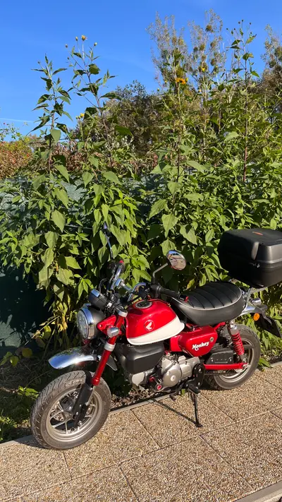 Honda Monkey 125 – náhľad 4