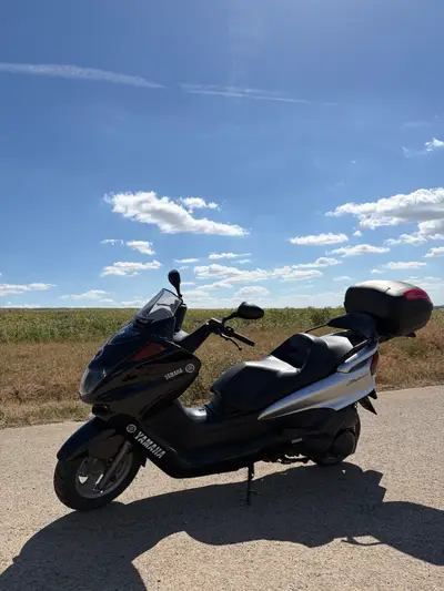 Yamaha 250 – náhľad 3