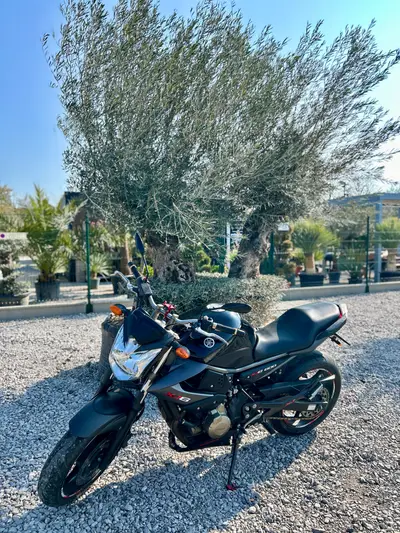 Yamaha xj6 – náhľad 2