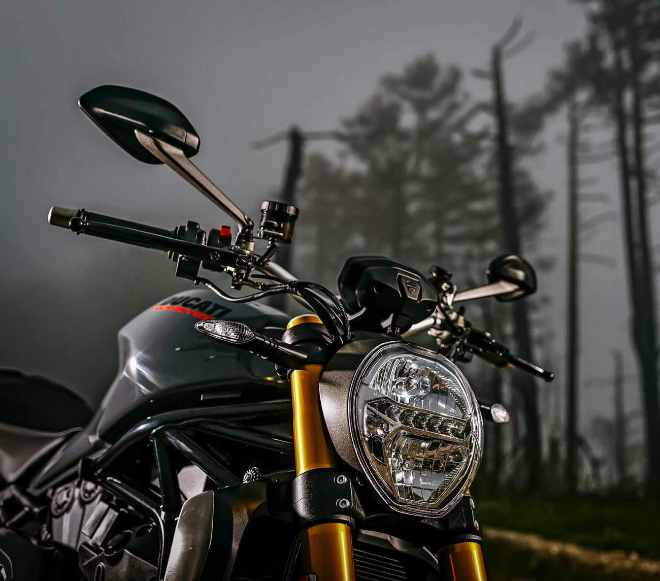 Ducati Monster 1200S