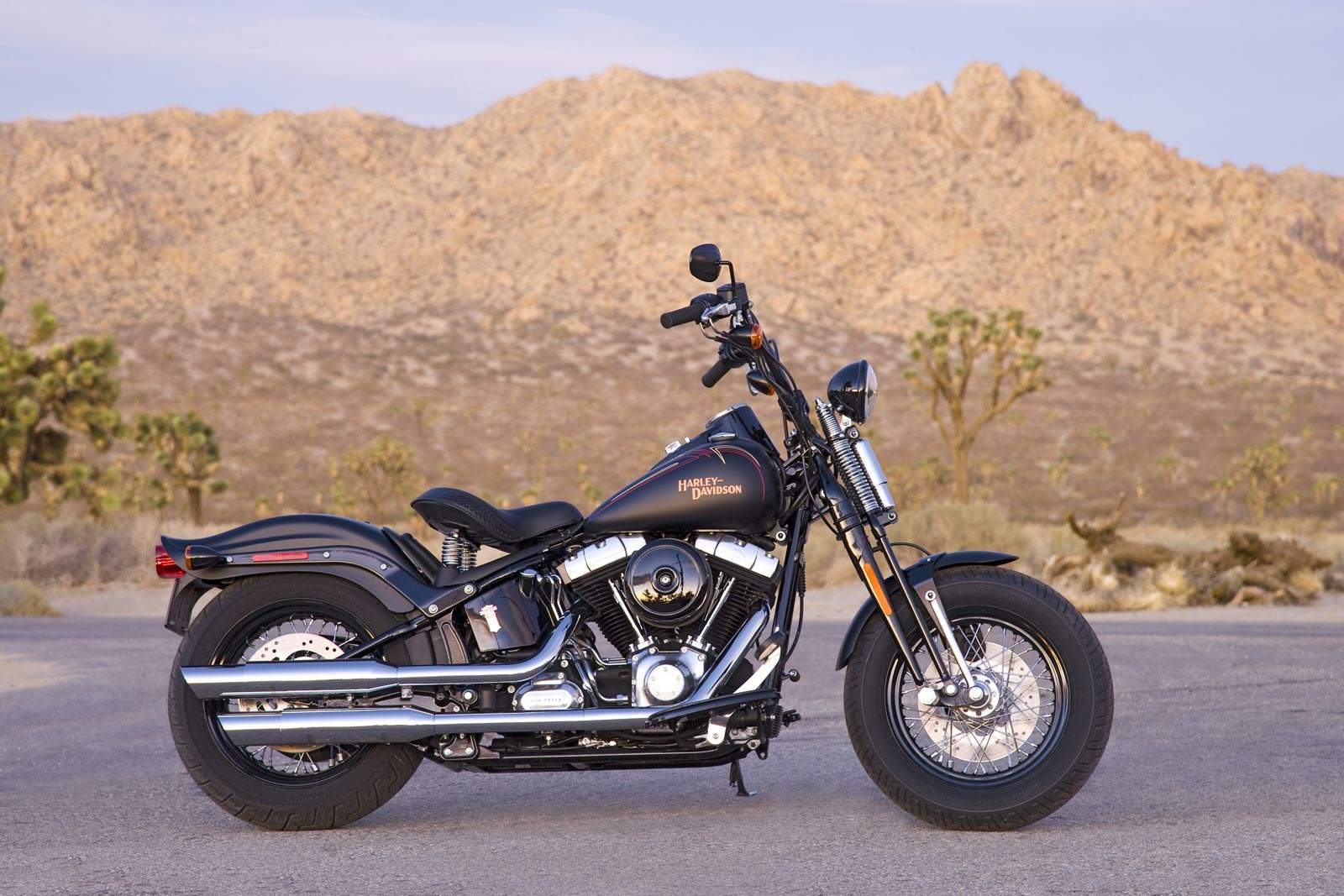 Harley Davidson FLSTSB Softail Cross Bones