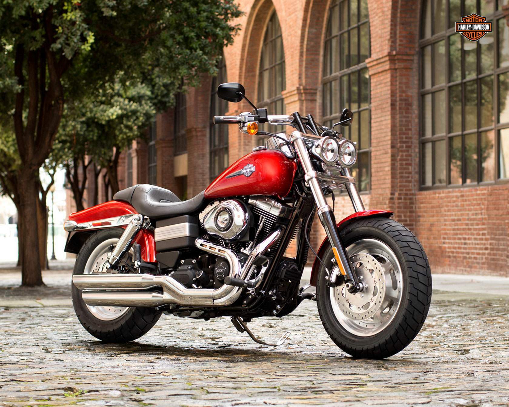 Harley Davidson FXDF Dyna Fat Bob