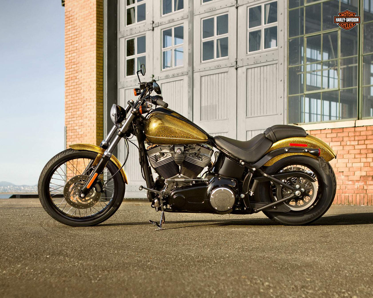 Harley Davidson FXS Blackline