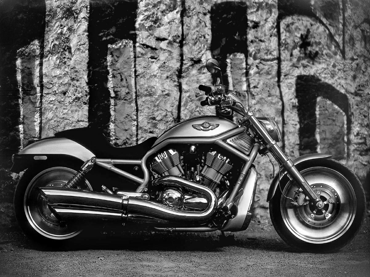 Harley Davidson VRSCA V-Rod 100th Anniversary Edition