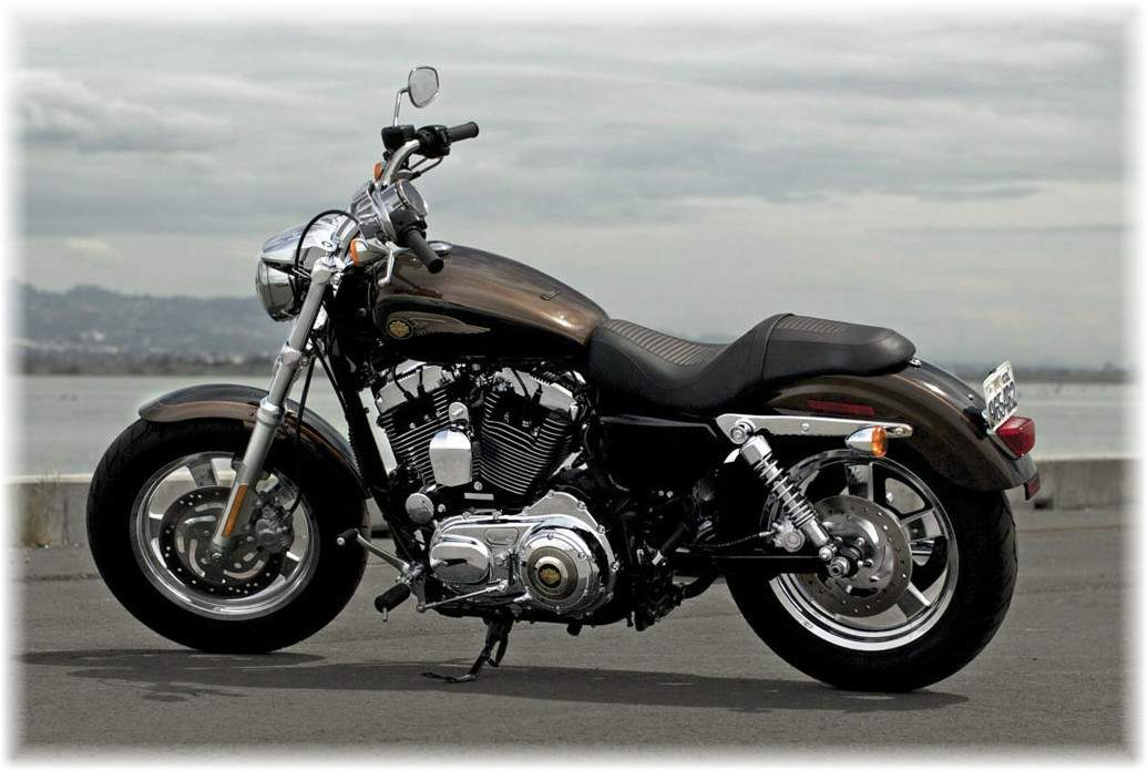 Harley Davidson XL 1200C Sportster Custom 110th Anniversary Edition