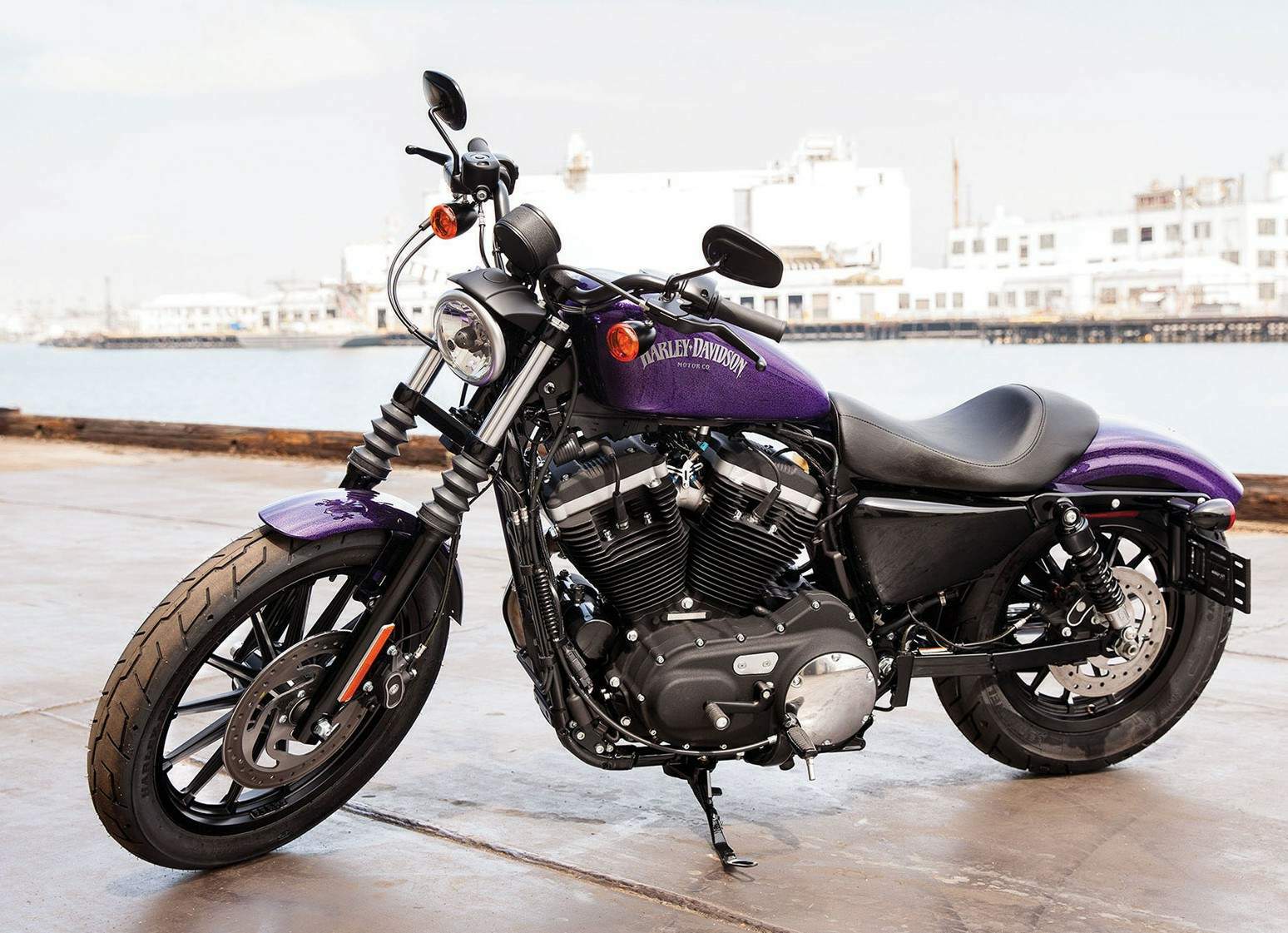 Harley Davidson XL 883N Iron