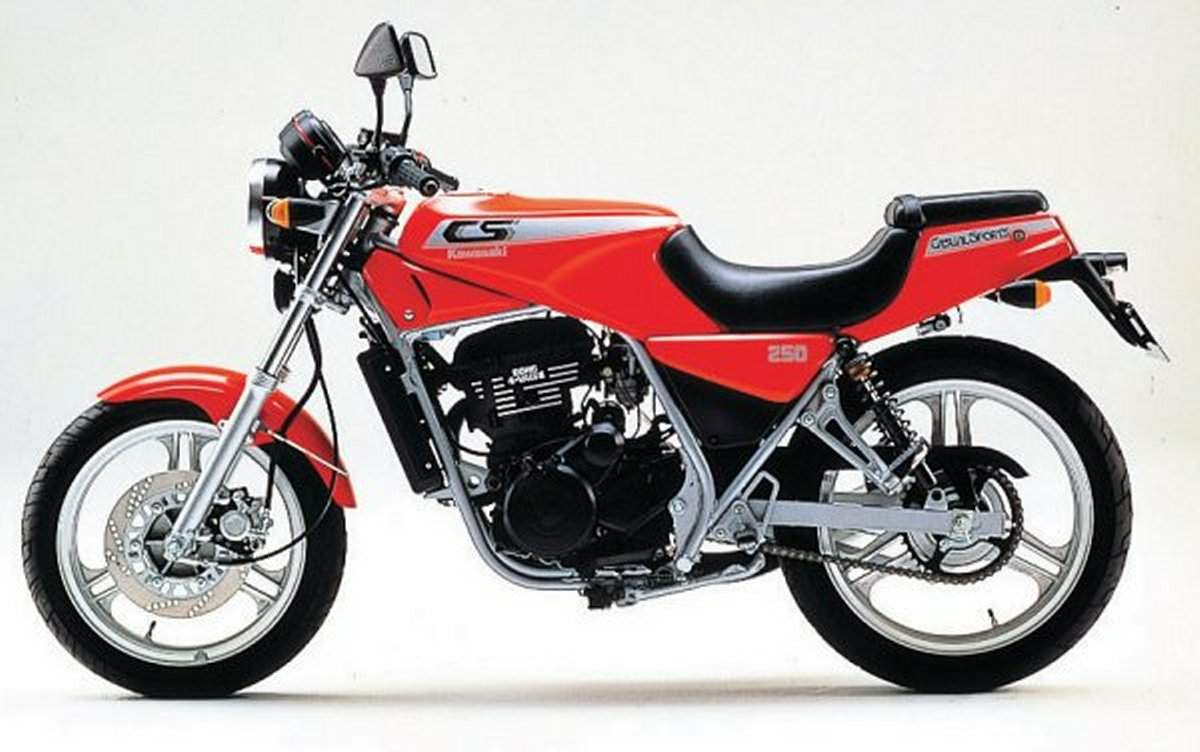 Kawasaki BR 250 Casual Sports