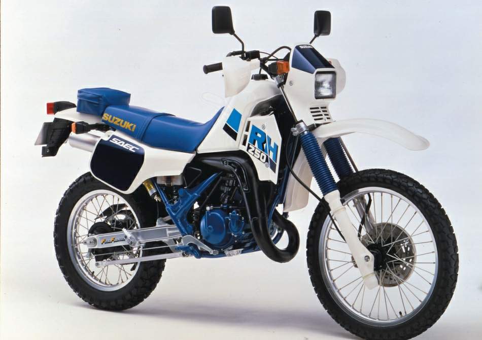 Suzuki RH 250X