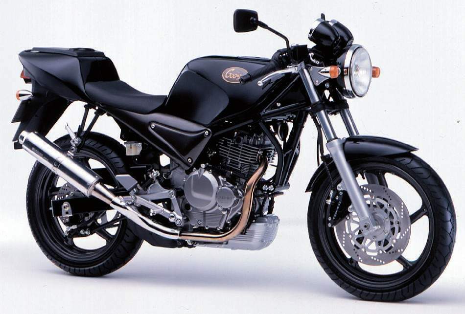 Suzuki SG 250N Goose