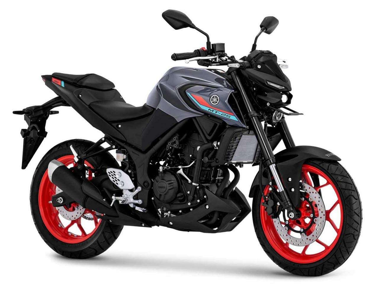 Yamaha MT 25
